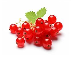 Photo of Red currant isolated on white background. Generative AI