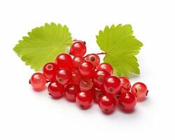 Photo of Red currant isolated on white background. Generative AI