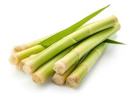 Photo of Sugarcane isolated on white background. Generative AI