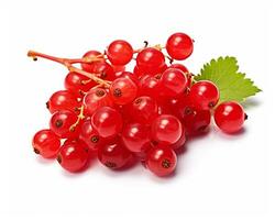 Photo of Red currant isolated on white background. Generative AI