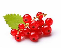 Photo of Red currant isolated on white background. Generative AI