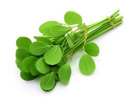 Photo of Moringa isolated on white background. Generative AI