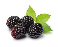 Photo of Marionberry isolated on white background. Generative AI