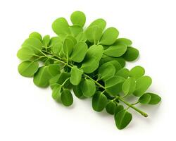 Photo of Moringa isolated on white background. Generative AI