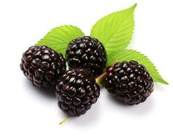 Photo of Marionberry isolated on white background. Generative AI