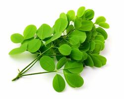 Photo of Moringa isolated on white background. Generative AI