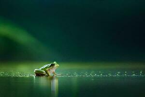 a frog sitting on the edge of a pond. AI-Generated photo