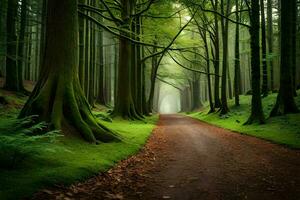 a path through a forest with trees and green grass. AI-Generated photo