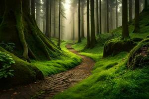 a path through a green forest with mossy trees. AI-Generated photo