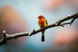 a red bird sitting on a branch. AI-Generated photo