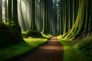 un camino mediante un bosque con arboles y luz de sol. generado por ai foto