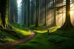 a path through a forest with trees and grass. AI-Generated photo