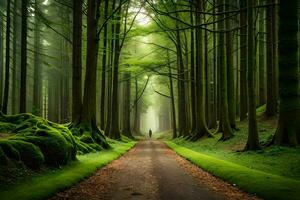 a path through a green forest with trees and grass. AI-Generated photo