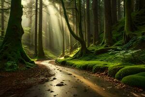un bosque camino con luz de sol brillante mediante el arboles generado por ai foto