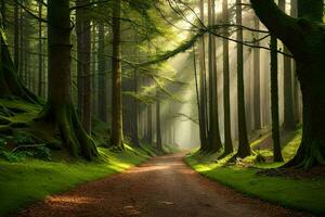 a dirt road in a forest with trees and sun. AI-Generated photo