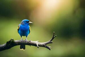 un azul pájaro es sentado en un rama. generado por ai foto