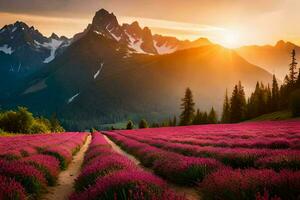 the sun rises over a lavender field in the mountains. AI-Generated photo