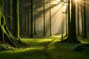 a path through a forest with sunlight shining through the trees. AI-Generated photo