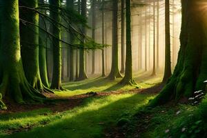 el Dom brilla mediante el arboles en un bosque. generado por ai foto