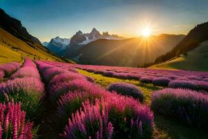 the sun rises over a field of lavender flowers. AI-Generated photo