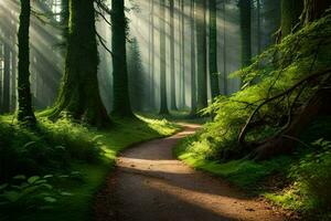 a path through a forest with sunlight shining down. AI-Generated photo