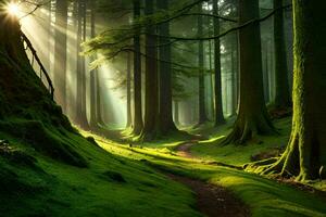 a path through a green forest with trees and sunbeams. AI-Generated photo