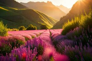 the sun shines brightly over a lavender field. AI-Generated photo