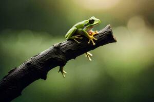 a frog sitting on a branch in the sun. AI-Generated photo