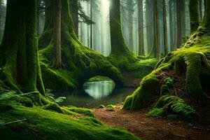 un camino mediante un bosque con cubierto de musgo arboles generado por ai foto