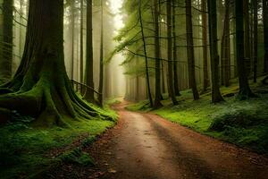 a dirt road in a forest with trees and fog. AI-Generated photo
