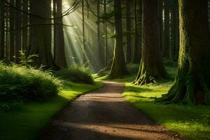 un camino mediante un bosque con rayos de sol brillante mediante el arboles generado por ai foto