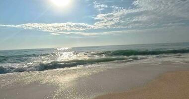 Zeitlupe Video von ein Surfen auf ein sandig Strand während das Tag