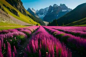 un campo de púrpura flores en frente de montañas. generado por ai foto