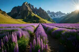 el lavanda campos de el Alpes. generado por ai foto