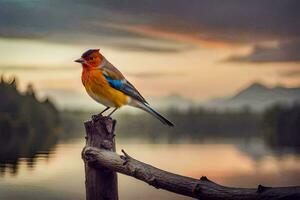 un vistoso pájaro se sienta en un de madera enviar cerca un lago. generado por ai foto