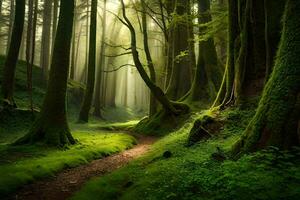 a path through a green forest with trees and moss. AI-Generated photo