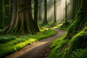 a path through a green forest with sunlight shining through the trees. AI-Generated photo