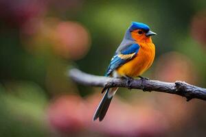 a colorful bird sits on a branch. AI-Generated photo