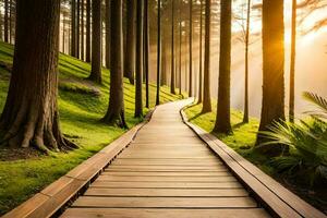 a wooden path leads through the forest at sunset. AI-Generated photo