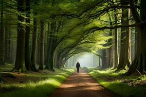 un persona caminando abajo un camino en el medio de un bosque. generado por ai foto