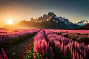 el Dom sube terminado un campo de rosado flores en el montañas. generado por ai foto