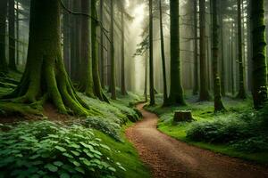 a path through a green forest with trees and grass. AI-Generated photo