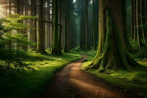 a path through a forest with trees and grass. AI-Generated photo