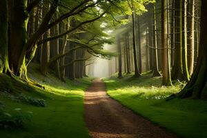 un camino mediante un bosque con arboles y césped. generado por ai foto