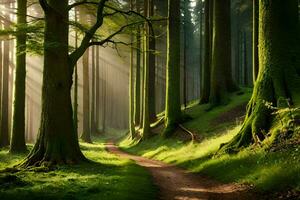 a path through a green forest with trees. AI-Generated photo