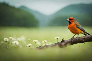 un vistoso pájaro se sienta en un rama en un campo. generado por ai foto