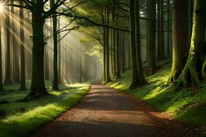 un camino mediante un bosque con rayos de sol brillante mediante el arboles generado por ai foto