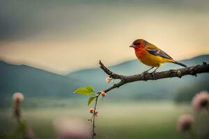 a colorful bird sits on a branch in front of a field. AI-Generated photo