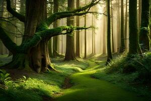 un camino mediante un bosque con arboles y césped. generado por ai foto