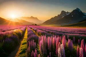 the sun rises over a field of lupine flowers in the mountains. AI-Generated photo